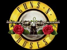 guns n roses slot netent